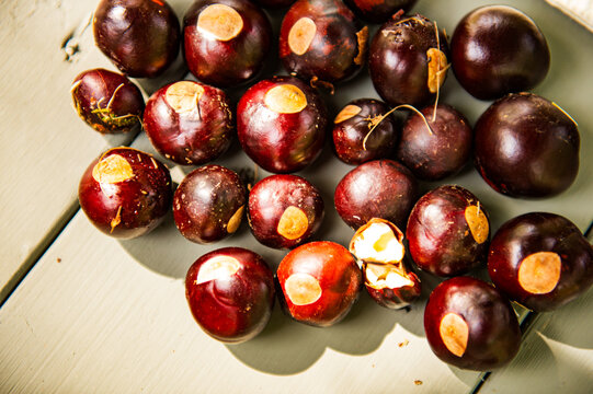 chestnuts on a plate in the sun