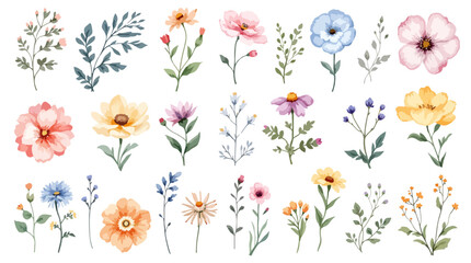 spring flowers and grass