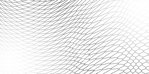 Mesh texture for fishing nets. Seamless pattern for sportswear or soccer goal, volleyball net, basketball hoop, hockey, athletics. Abstract net background for sports © sholeh