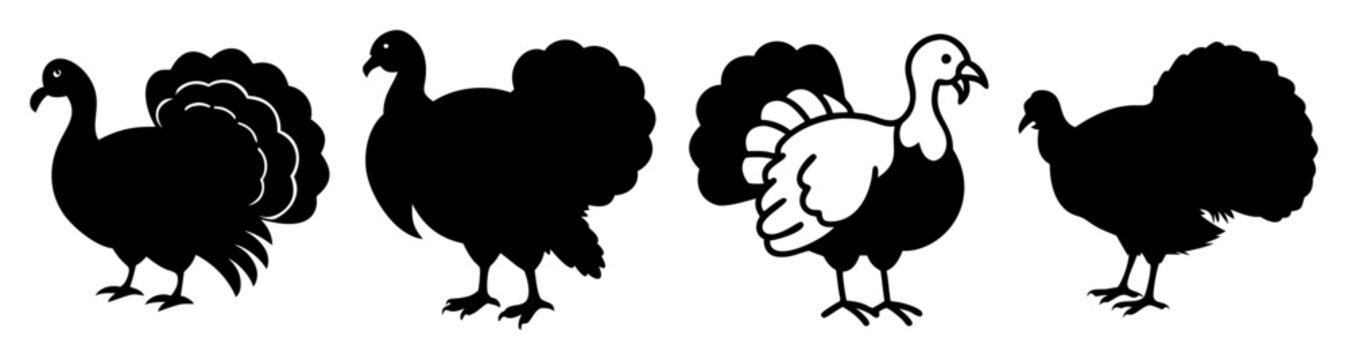 Black and white turkey birds standing side by side isolated on plain background vector illustration