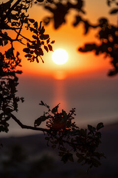 Beautiful sunset at the Aegean sea, Samothrace or Samothraki island Greece, tree silhouette, enjoying summer vacation, wellness and tourism