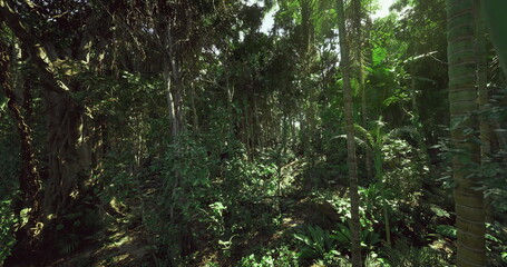 Obraz premium Vast ancient forest with twisted branches and thick foliage, Majestic old trees displaying gnarled trunks and sprawling root systems unmistakably ancient