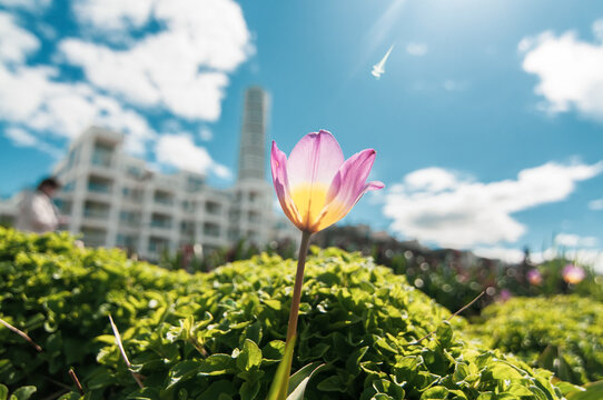 Springtime in Malm&ouml;