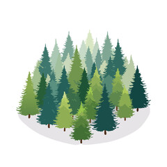 Fototapeta premium Green evergreen trees illustration isolated on white background