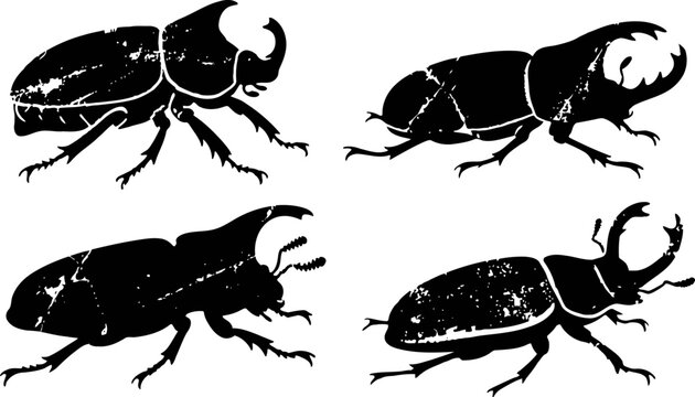 beetle silhouettes set various beetle insect shapes with distinctive horns and legs