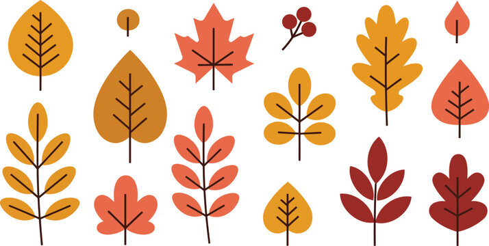 Seamless pattern with autumn maple and oak leaves featuring colorful fall foliage in a nature-inspired vector illustration design