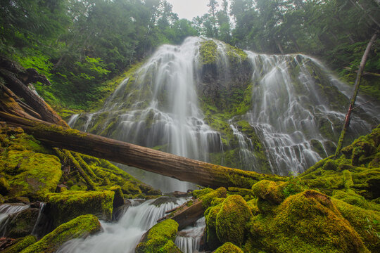 A waterfall is surrounded by moss and rocks. The water is flowing down the rocks and the moss is covering the ground. The scene is peaceful and serene. Pacific Northwest waterfall on a hiking trail in