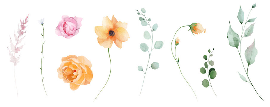 Watercolor floral clipart set. Pink, blush, peach poppy, orange rose flowers, peony buds, dusty green eucalyptus branches, twigs. Meadow pastel and bright multi-colored plants isolated collection.