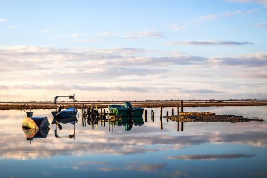 Sunset or sunrise on National park of Evros Delta, near Alexandroupolis and Turkish border, Dadia forest and protected wetland, bird migratory season, cloudy sky