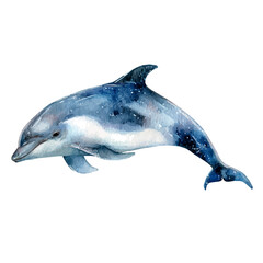 Watercolor Porpoise vector, artistic painting style, high-resolution illustration on a pure white background. © Cooper