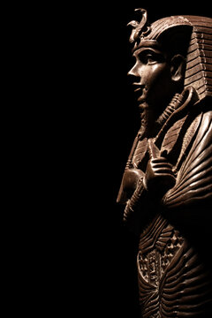 A historical egyptian sarcophagus with a mummy inside	