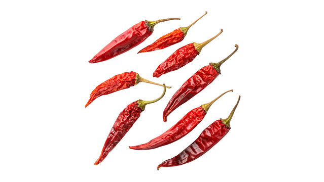 Red dried chili peppers isolated on transparent background