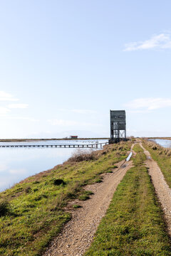 Panoramic view of the National Park of Evros Delta, near Alexandroupolis and Turkish border, Dadia forest and protected wetland, cloudy sky