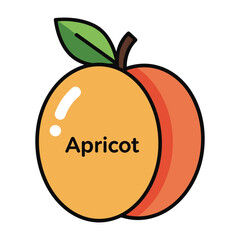 A delightful illustration of a ripe apricot with a green leaf on top