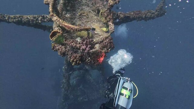 4K Wreck Diving: Scuba Divers Exploring the Historic USCG Duane Shipwreck in Key Largo, Florida