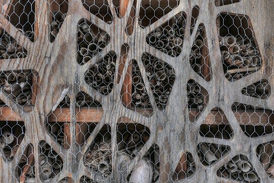 Front detail of insect house, with steel fencing and amorphous wooden cover, hollow wooden wood pieces placed inside as space for nesting. 