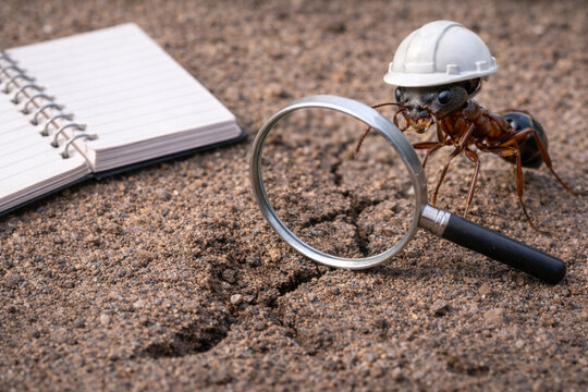 Accident Investigation