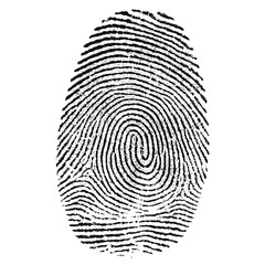Fingerprint picture