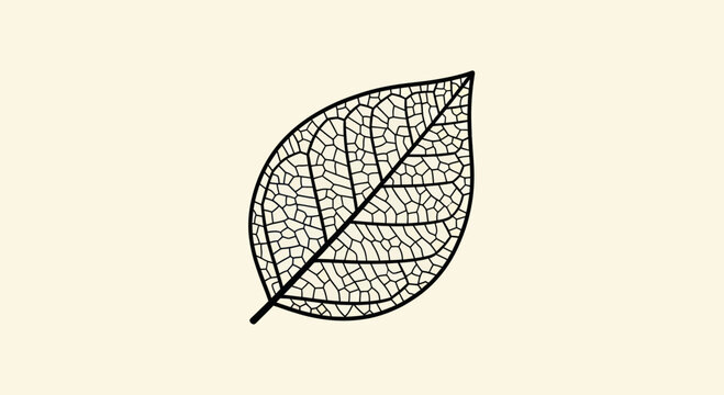 Skeleton Leaf Outline on Beige Background - Delicate Natural Detail