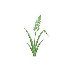 Fototapeta premium Elegant Blade of Grass Minimal Nature Icon