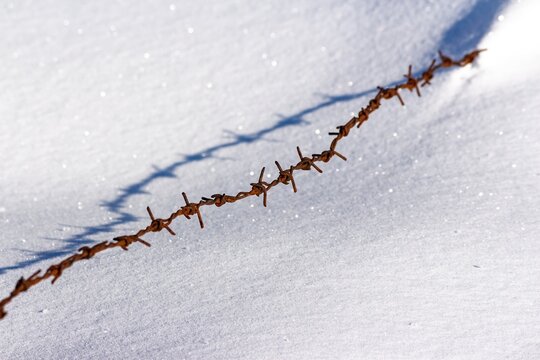 Rusty barbed wire, a grim frontier, stretches across pristine white snow. Evokes stark confinement, historical struggle, and chilling winter isolation