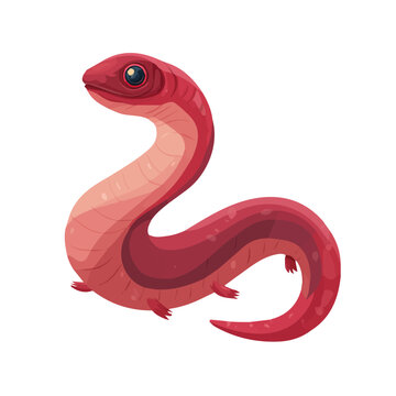 Caecilian, presented as a modern flat 2D vector icon graphic on a white background