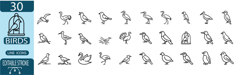 Bird line icon set with wild domestic avian species symbol, flying eagle, swimming swan, parrot, penguin character, ostrich, owl, pigeon, nature fauna more vector illustration editable stroke. © Purnima