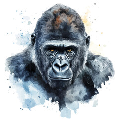 watercolor graphic of Gorilla, isolated on a white background. © soltrex