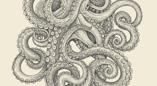octopus tentacles illustration, marine life, ink drawing