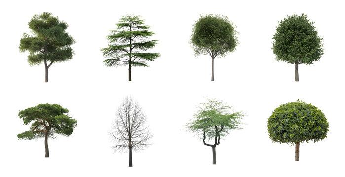 Eight distinct green trees and one bare tree isolated on a transparent background, showcasing various species and shapes suitable for architectural rendering or landscape design.
