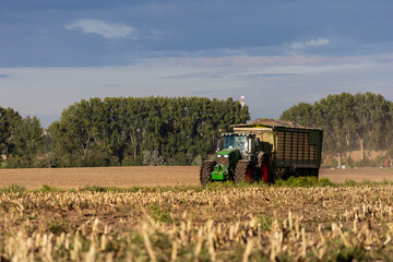 Fototapeta premium Scenic view tractor with trailer drives through harvested cornfield under bright sun, raising dust in warm light. Rural farmland extends into horizon with golden stubble and green crops