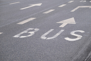 Fototapeta premium Bus Lane Marking and Directional Arrows on Urban Asphalt Road