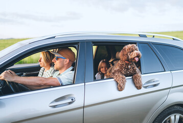 Happy family with maltipoo dog traveling in silver car during summer road trip holiday vacation...