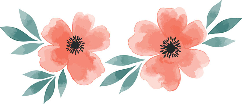Two beautiful peach colored flowers with green leaves on white background