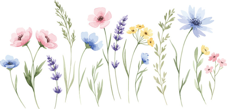 Watercolor painting of colorful wildflowers on white background with green stems and leaves