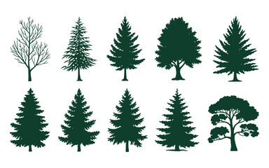 Fototapeta premium Collection of Diverse Tree Silhouettes: Conifers, Deciduous, and Bare Branches
