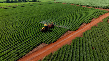 Aerial view of a tractor spraying green peanut crops next to a vast sugarcane plantation © JR Slompo