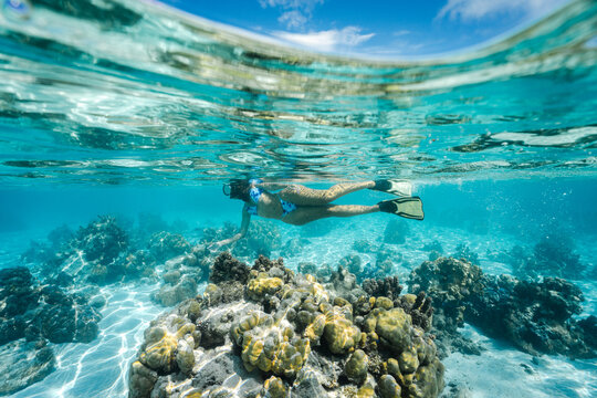 Snorkeler exploring vibrant coral reefs in turquoise waters