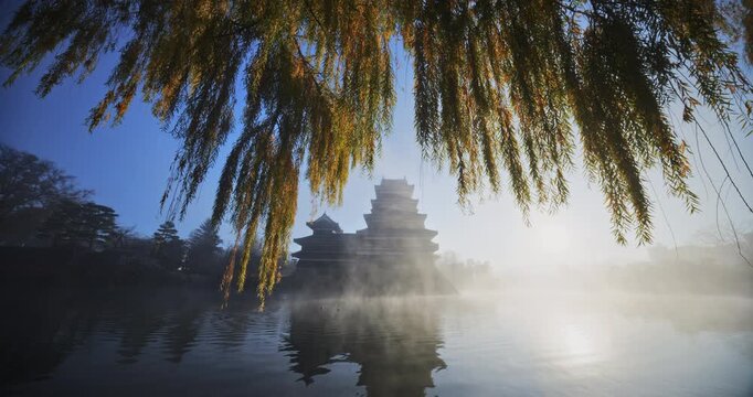Yellow autumn weeping tree tilting down to cinematic view of 16th century crow castle and pond mist