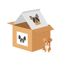 Cute Dog in Shipping Box