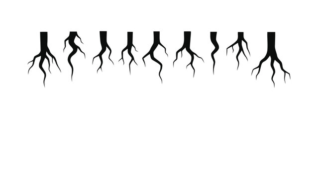 Vector illustration&nbsp;of set of various tree roots silhouettes on a transparent background
