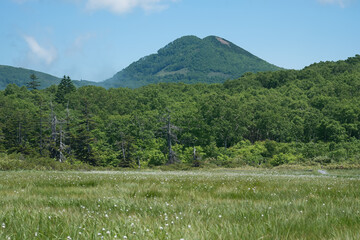 初夏の神仙沼湿地からの山風景 © oonoteruaki