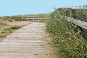 Photo of Portsalon walkways and sand dunes at Ballymastocker Sandy Beach in Co Donegal Ireland
