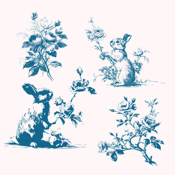 Floral bunny baroque line art clipart