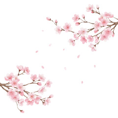 Fototapeta premium 桜のフレーム素材｜水彩タッチの枝と舞う花びら