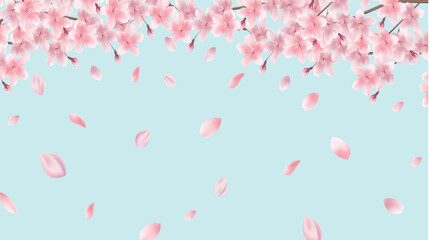 桜　春　風景　背景　