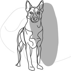 オーストラリアン・キャトル・ドッグ