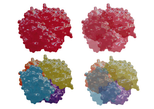 Hemoglobin molecular structure isolated vector set: 4 variations of tetramer assembly with color-coded subunits and semi-transparent styles, Scientifically accurate medical diagram 3D render.