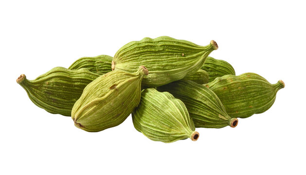 Close-up of green, oblong spice pods, stacked atop each other, showing a ridged surface and small stems. The background is completely black