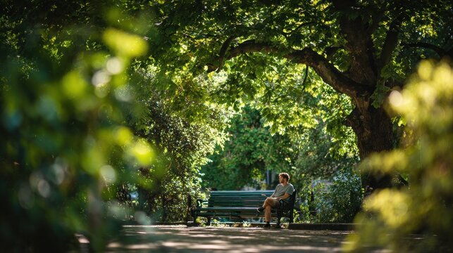 Man sitting on a park bench under a tree